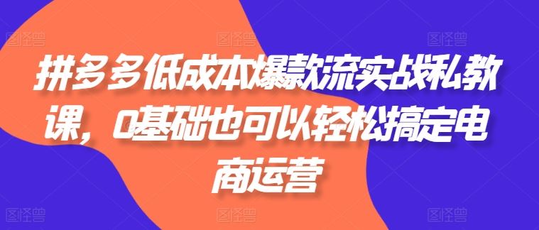 拼多多低成本爆款流实战私教课，0基础也可以轻松搞定电商运营-玩备项目资源网