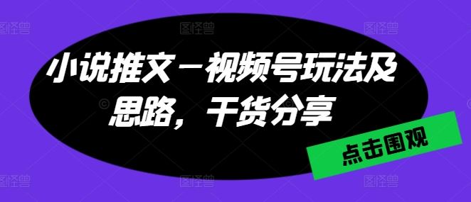 小说推文—视频号玩法及思路，干货分享-玩备项目资源网