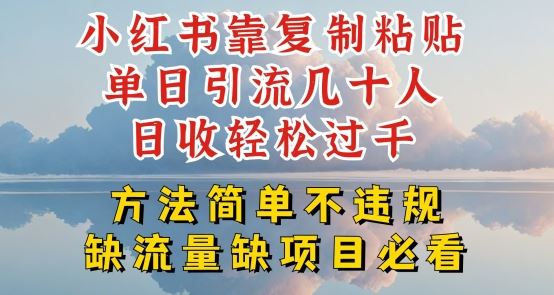 小红书靠复制粘贴单日引流几十人目收轻松过千，方法简单不违规【揭秘】-玩备项目资源网