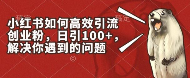 小红书如何高效引流创业粉，日引100+，解决你遇到的问题【揭秘】-玩备项目资源网