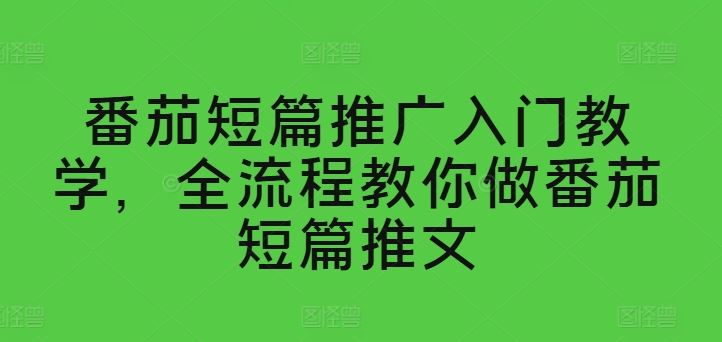 番茄短篇推广入门教学，全流程教你做番茄短篇推文-玩备项目资源网