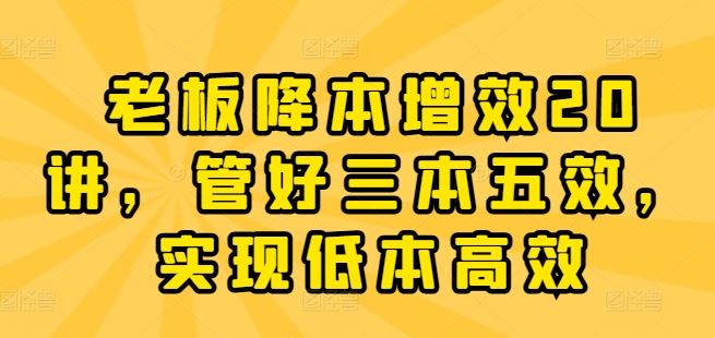老板降本增效20讲，管好三本五效，实现低本高效-玩备项目资源网