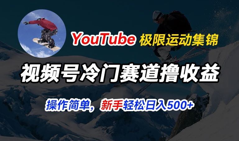 视频号冷门赛道撸收益，YouTube搬运极限运动集锦，暴力起号，操作简单流量高，轻松日入5张【揭秘】-玩备项目资源网