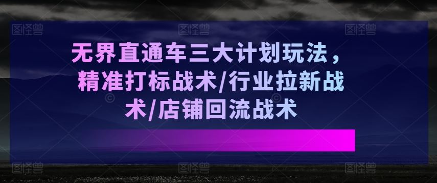 无界直通车三大计划玩法，精准打标战术/行业拉新战术/店铺回流战术-玩备项目资源网