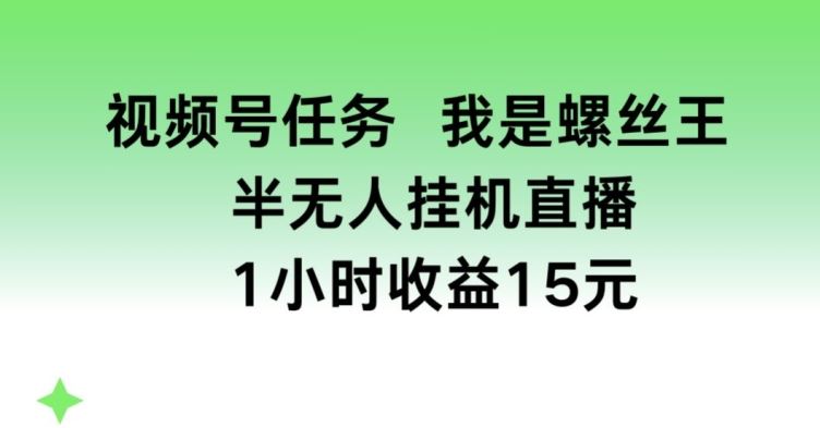 视频号任务，我是螺丝王， 半无人挂机1小时收益15元【揭秘】-玩备项目资源网