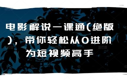 电影解说一课通(绝版)，带你轻松从0进阶为短视频高手-玩备项目资源网