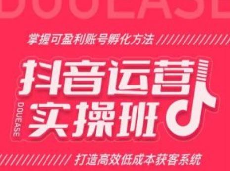 抖音运营实操班，掌握可盈利账号孵化方法，打造高效低成本获客系统-玩备项目资源网