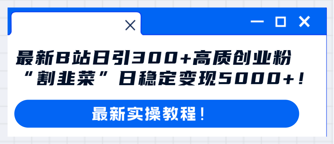 （8216期）最新B站日引300+高质创业粉教程！“割韭菜”日稳定变现5000+！-玩备项目资源网