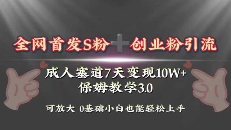 （8337期）全网首发s粉加创业粉引流变现，成人用品赛道7天变现10w+保姆教学3.0-玩备项目资源网