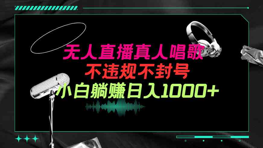 (9622期）抖音24小时无人直播音乐，不违规，不封号纯撸音浪，小白实操当天日入1000+-玩备项目资源网