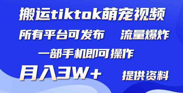 （9618期）搬运Tiktok萌宠类视频，一部手机即可。所有短视频平台均可操作，月入3W+-玩备项目资源网