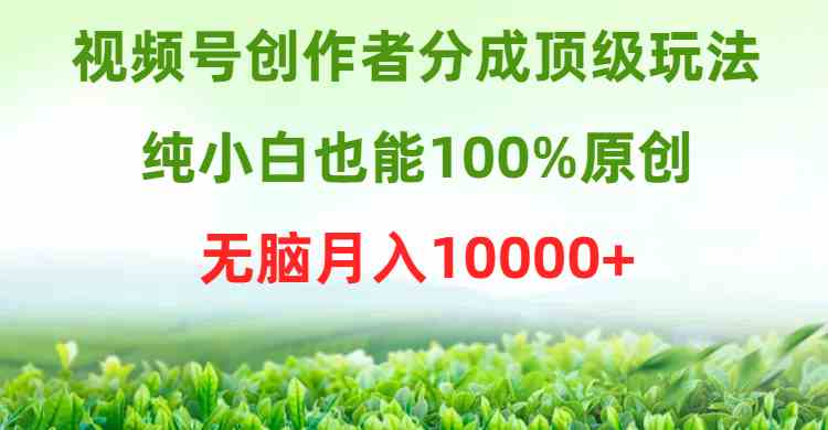 （9608期）视频号创作者分成顶级玩法，纯小白也能100%原创，无脑月入10000+-玩备项目资源网