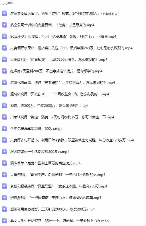 图片[8]-（9607期）真实有效391套商业模式，年入几十到几百万案例解析（电子书+视频+图文）-玩备项目资源网