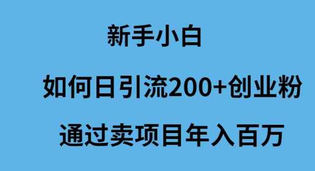 （9668期）新手小白如何日引流200+创业粉通过卖项目年入百万-玩备项目资源网