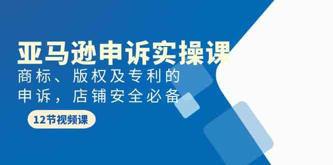 （9754期）亚马逊-申诉实战课，​商标、版权及专利的申诉，店铺安全必备-玩备项目资源网