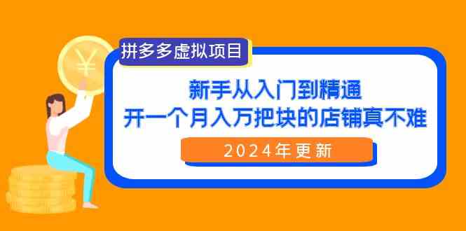 （9744期）拼多多虚拟项目：入门到精通，开一个月入万把块的店铺 真不难（24年更新）-玩备项目资源网