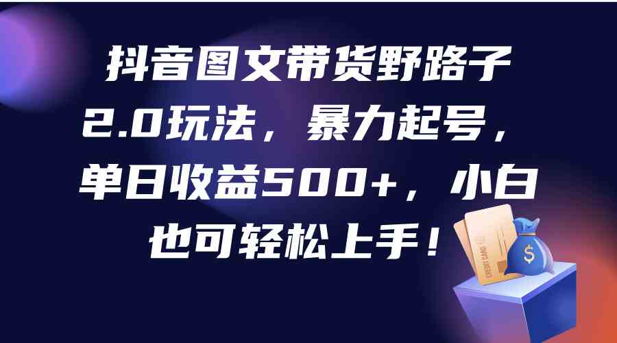 （9790期）抖音图文带货野路子2.0玩法，暴力起号，单日收益500+，小白也可轻松上手！-玩备项目资源网