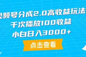 （9716期）视频号分成2.0高收益玩法，千次播放100收益，小白日入3000+-玩备项目资源网