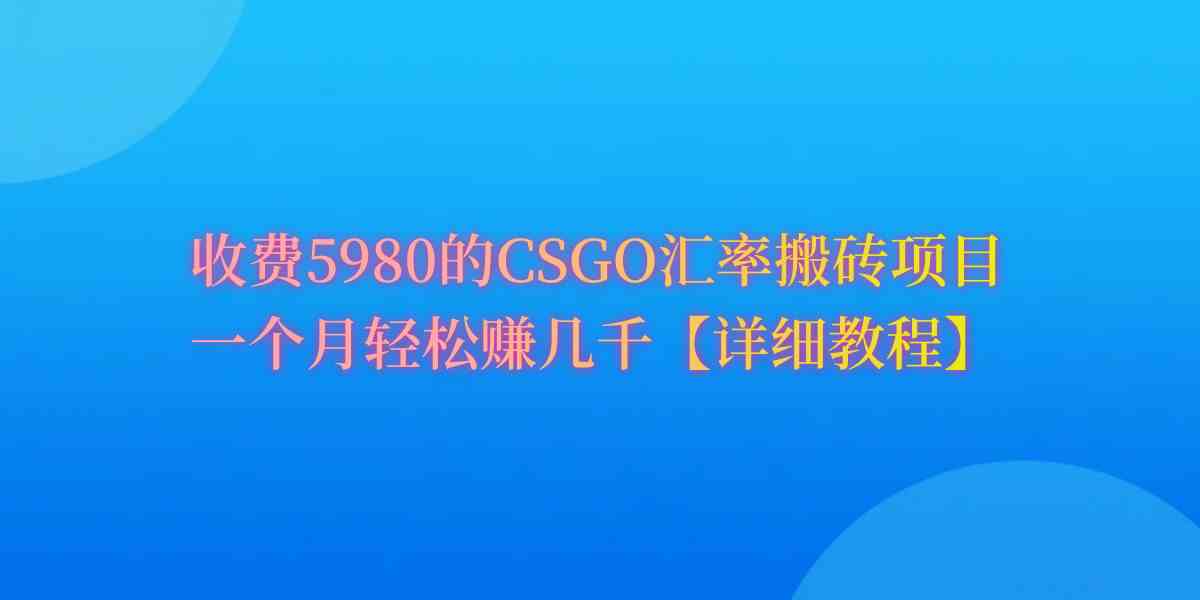 （9776期）CSGO装备搬砖，月综合收益率高达60%，你也可以！-玩备项目资源网