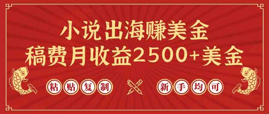 （9765期）小说出海赚美金，稿费月收益2500+美金，仅需chatgpt粘贴复制，新手也能玩转-玩备项目资源网