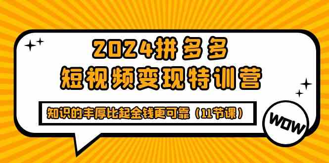 （9817期）2024拼多多短视频变现特训营，知识的丰厚比起金钱更可靠（11节课）-玩备项目资源网