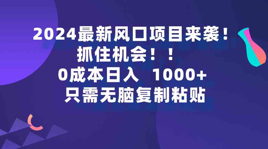 （9899期）2024最新风口项目来袭，抓住机会，0成本一部手机日入1000+，只需无脑复…-玩备项目资源网