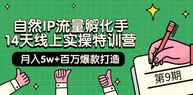 （9881期）自然IP流量孵化手 14天线上实操特训营【第9期】月入5w+百万爆款打造 (74节)-玩备项目资源网