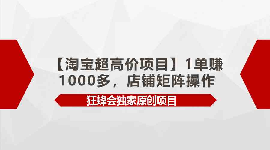 （9849期）【淘宝超高价项目】1单赚1000多，店铺矩阵操作-玩备项目资源网
