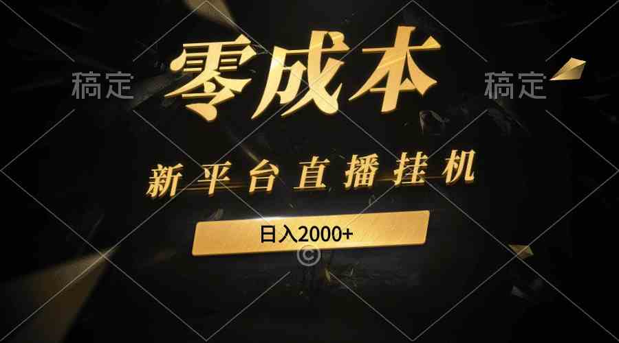（9841期）新平台直播挂机最新玩法，0成本，不违规，日入2000+-玩备项目资源网
