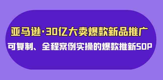 （9944期）亚马逊30亿·大卖爆款新品推广，可复制、全程案例实操的爆款推新SOP-玩备项目资源网