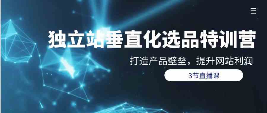 （9925期）独立站-垂直化选品训练营，打造产品壁垒，提升网站利润（3节直播课）-玩备项目资源网
