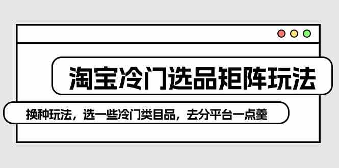 （10159期）淘宝冷门选品矩阵玩法：换种玩法，选一些冷门类目品，去分平台一点羹-玩备项目资源网