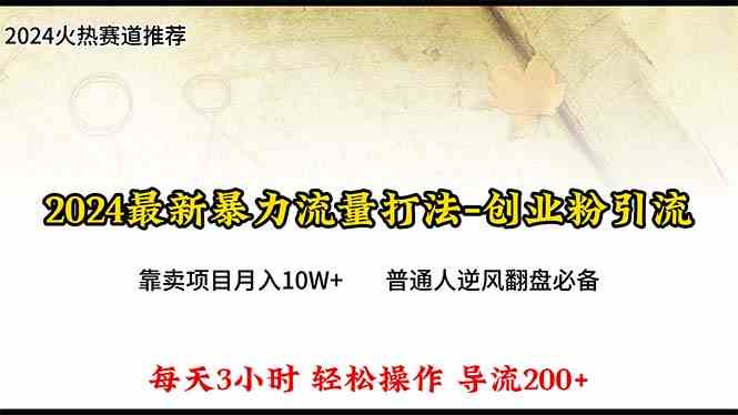 （10151期）2024年最新暴力流量打法，每日导入300+，靠卖项目月入10W+-玩备项目资源网