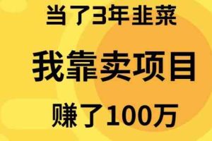 （10149期）当了3年韭菜，我靠卖项目赚了100万-玩备项目资源网