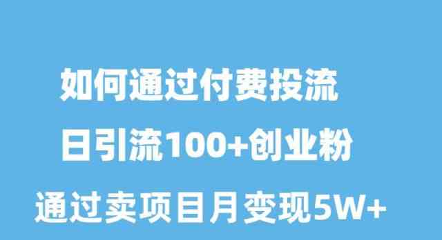 （10189期）如何通过付费投流日引流100+创业粉月变现5W+-玩备项目资源网