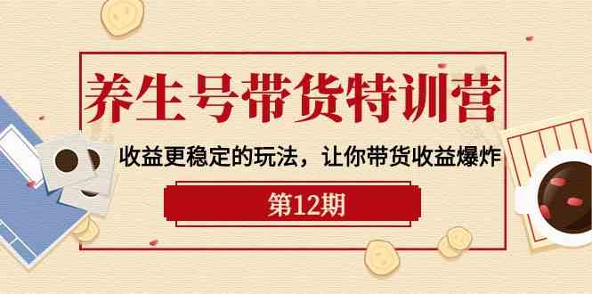 （10110期）养生号带货特训营【12期】收益更稳定的玩法，让你带货收益爆炸-9节直播课-玩备项目资源网