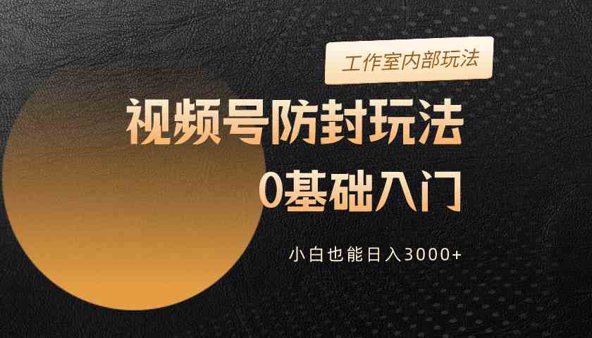 （10107期）2024视频号升级防封玩法，零基础入门，小白也能日入3000+-玩备项目资源网