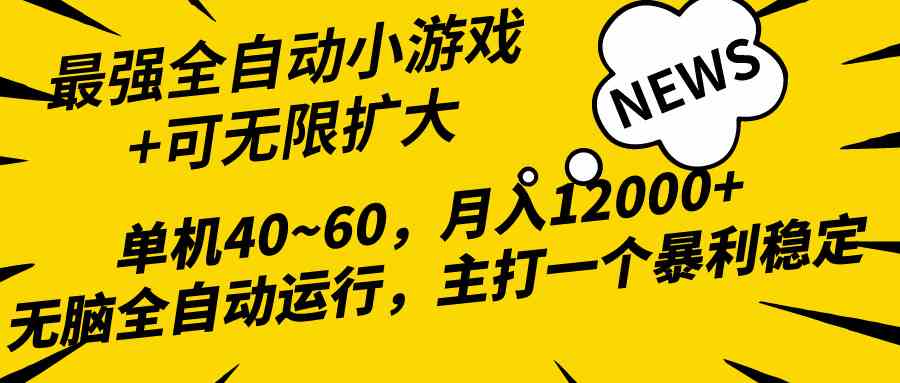 （10046期）2024最新全网独家小游戏全自动，单机40~60,稳定躺赚，小白都能月入过万-玩备项目资源网