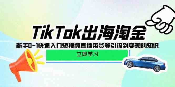 （10035期）TikTok-出海淘金，新手0-1快速入门短视频直播带货等引流到变现的知识-玩备项目资源网