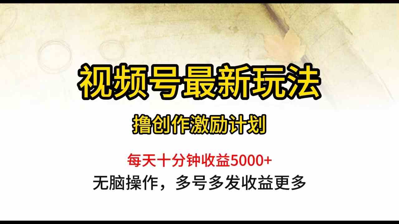 （10087期）视频号最新玩法，每日一小时月入5000+-玩备项目资源网