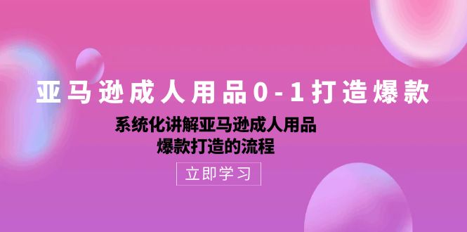 （10493期）亚马逊成人用品0-1打造爆款：系统化讲解亚马逊成人用品爆款打造的流程-玩备项目资源网