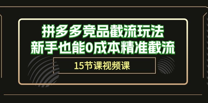（10301期）拼多多竞品截流玩法，新手也能0成本精准截流（15节课）-玩备项目资源网