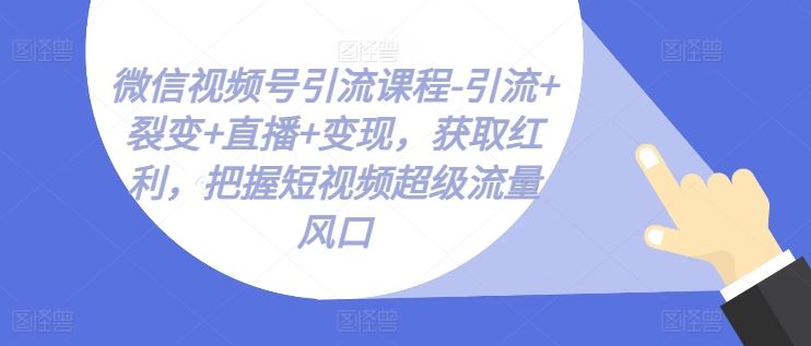 微信视频号引流课程-引流+裂变+直播+变现，获取红利，把握短视频超级流量风口-玩备项目资源网