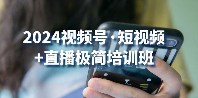 （10797期）2024视频号·短视频+直播极简培训班：抓住视频号风口，流量红利-玩备项目资源网