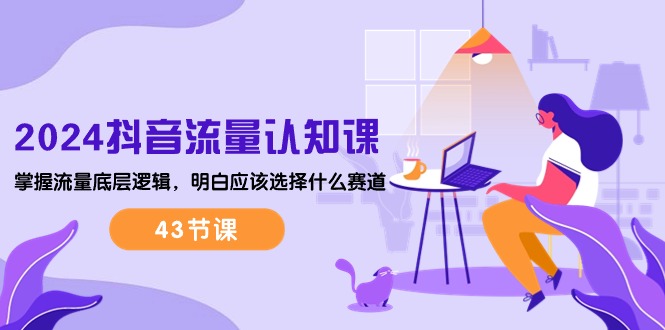 （10713期）2024抖音流量·认知课：掌握流量底层逻辑，明白应该选择什么赛道 (43节课)-玩备项目资源网