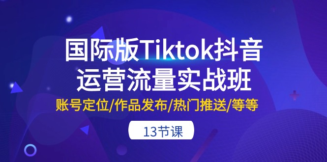 （10712期）国际版Tiktok抖音运营流量实战班：账号定位/作品发布/热门推送/等等-13节-玩备项目资源网