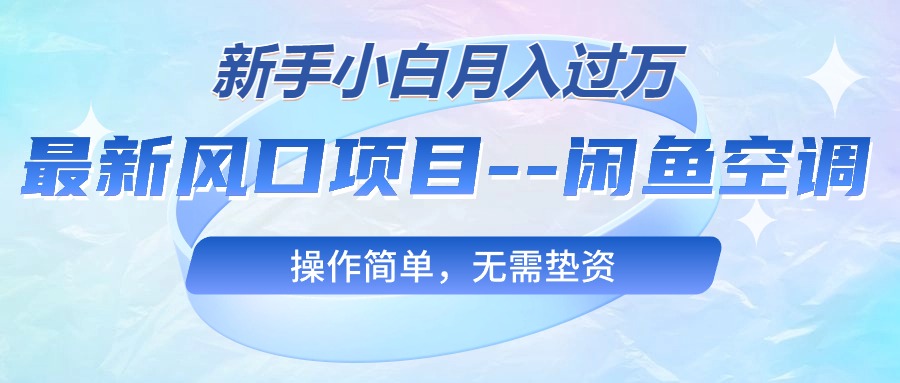 （10767期）最新风口项目—闲鱼空调，新手小白月入过万，操作简单，无需垫资-玩备项目资源网