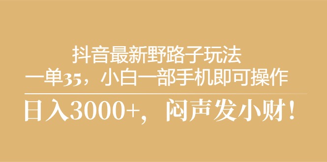 （10766期）抖音最新野路子玩法，一单35，小白一部手机即可操作，，日入3000+，闷…-玩备项目资源网