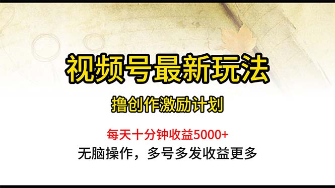 （10591期）视频号最新玩法，每日一小时月入5000+-玩备项目资源网