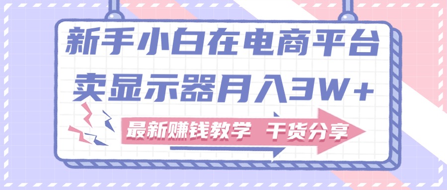 （11053期）新手小白如何做到在电商平台卖显示器月入3W+，最新赚钱教学干货分享-玩备项目资源网